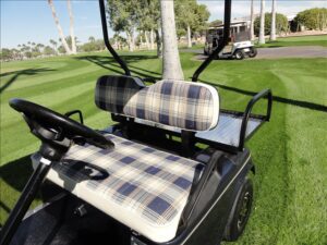 A golf cart with two seats and a tree in the background.